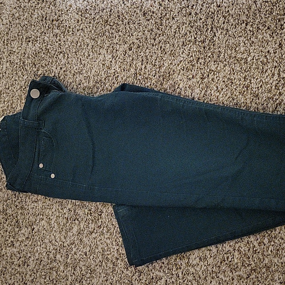 Blue Skinny/Straight Leg Pants